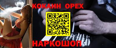 крисы Шахты