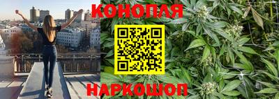 прущие грибы Чебаркуль