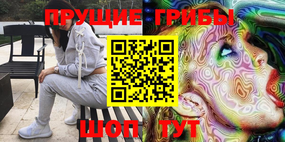 Лениногорск  Псилоцибиновые грибы Psilocybine cubensis  Вход с VPN 